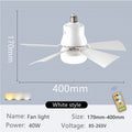 2-in-1 Ceiling Fan with Light